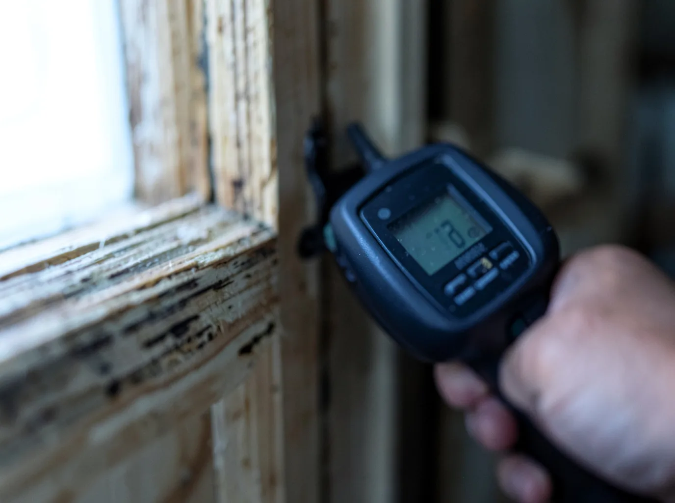 Moisture Inspection And Documentation in Green Valley, AZ